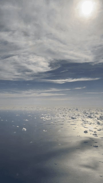video image